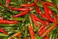 Chili